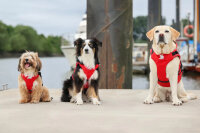 Secudogs - Schwimmweste für Hunde