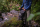 Anfibio Companion 20l