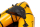 Anfibio Buddy Pro